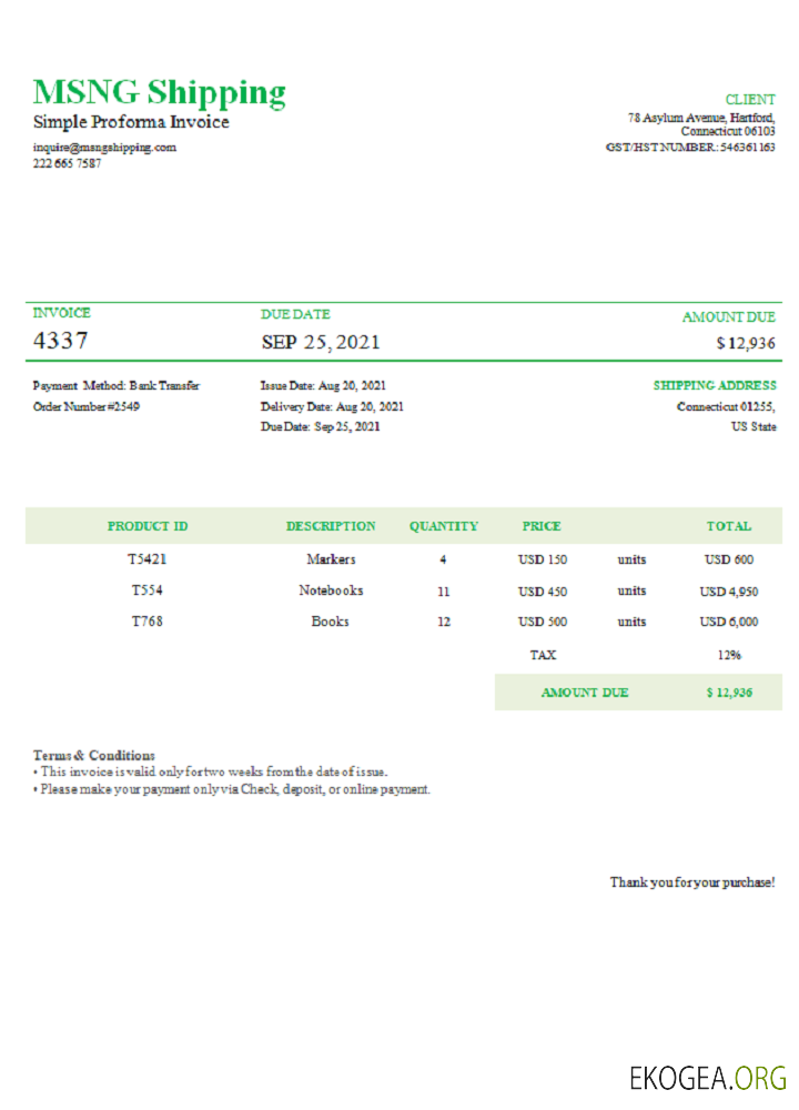 Facture d'expédition USA MSNG